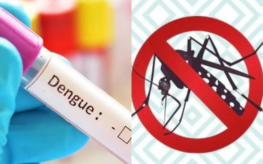 dengue
