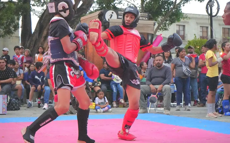 festival_de_deportes_de_combate