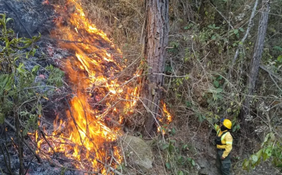 liquida_coesfo_incendio_forestal_loxichas