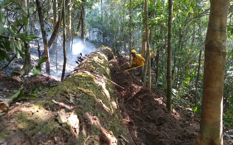 avanzan_combatientes_incendio_chimalapas