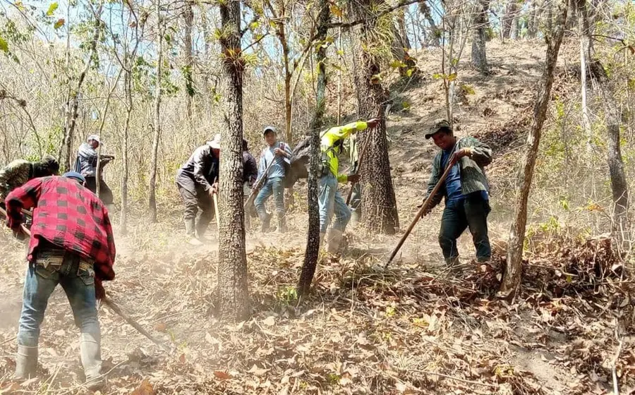 incendio-chimalapa