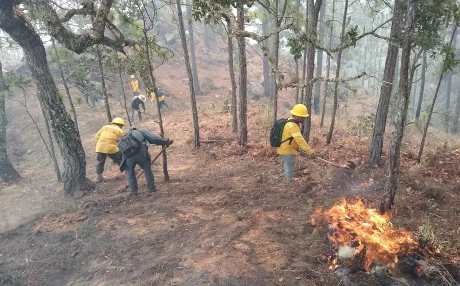 incendio-forestal