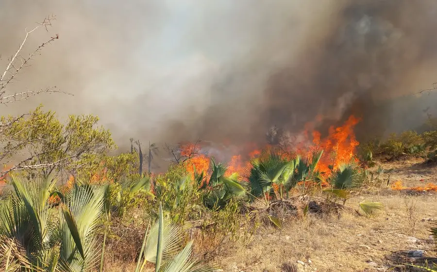incendio-forstal2