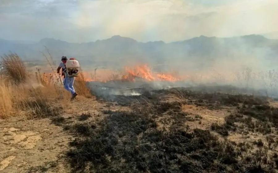 incendio-oaxaca