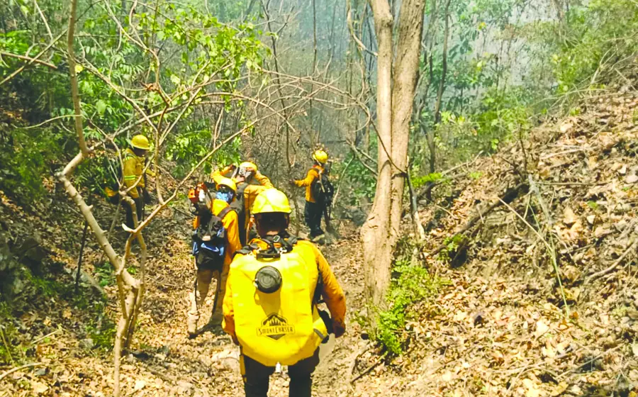incendio-oaxaca