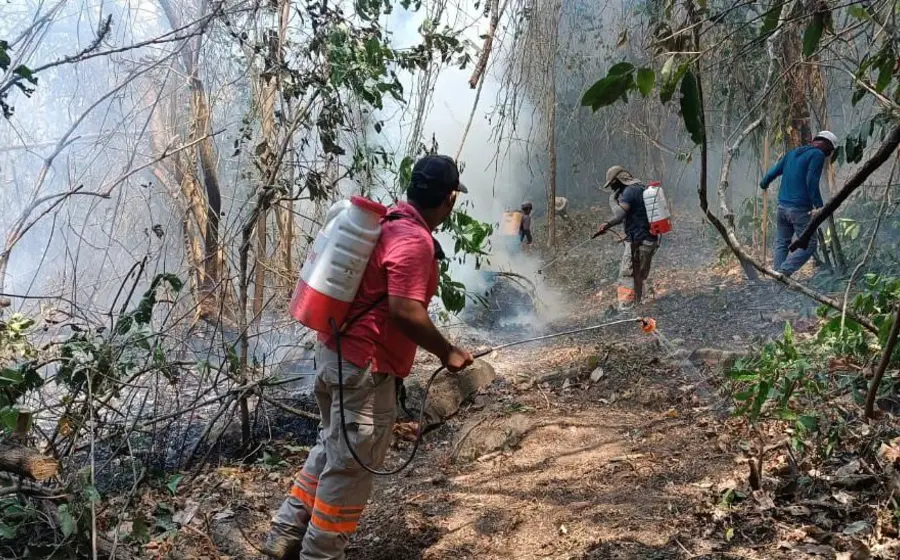 incendio-oaxaca