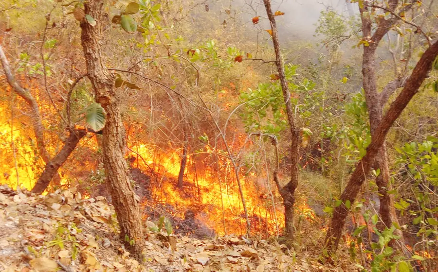 incendio-portada