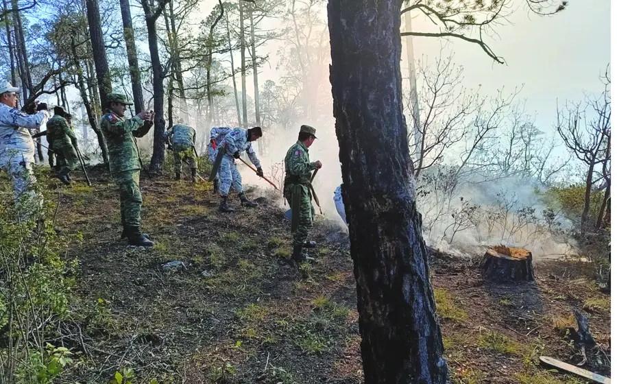 incendios-oaxaca