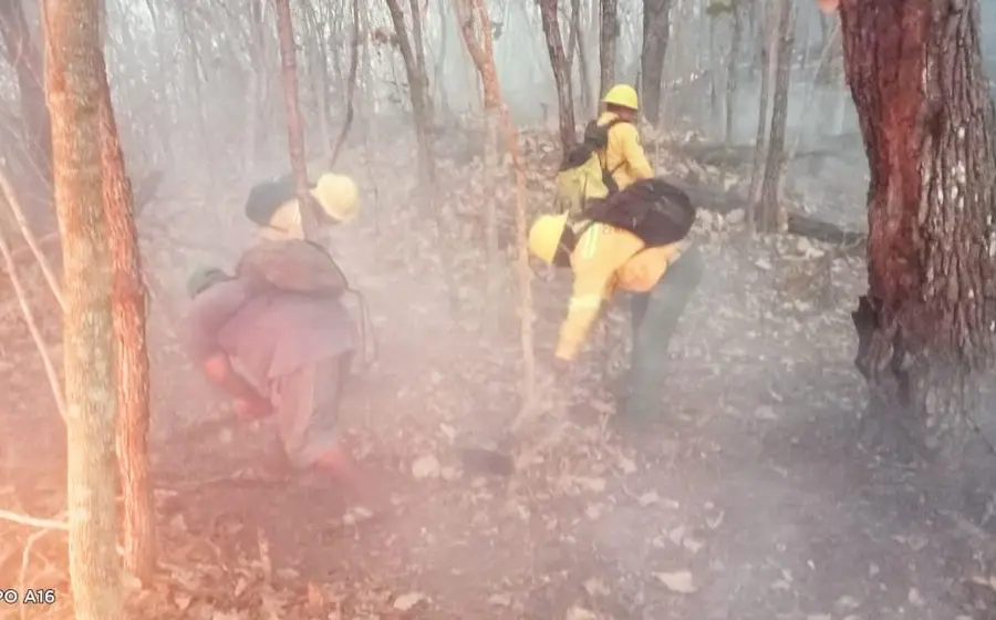 incendio-oaxaca