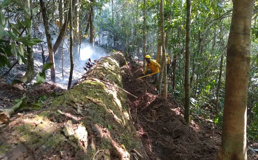 incendios