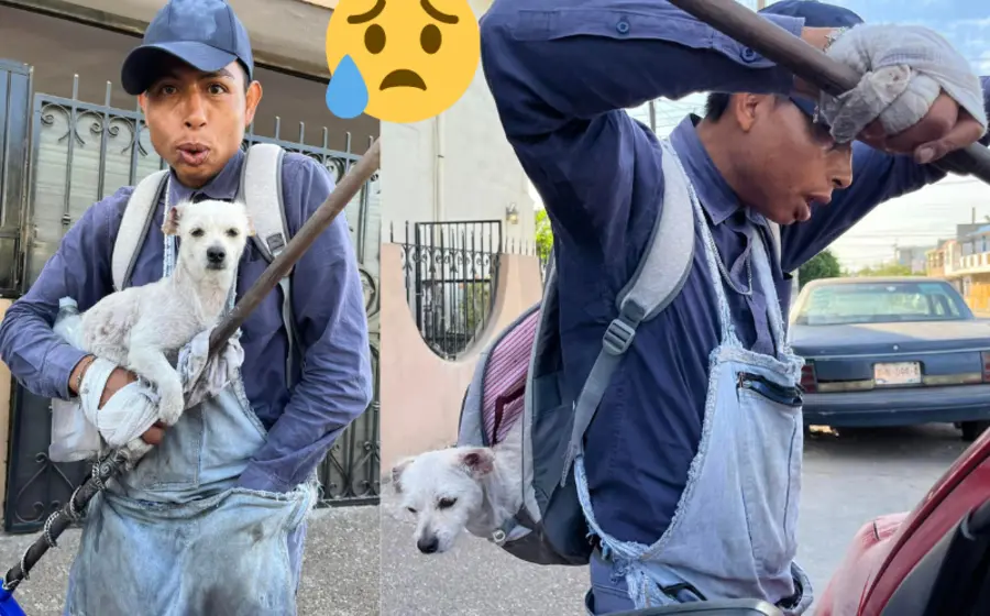 lomito_acompaña_humano_limpiaparabrisas
