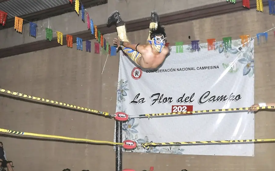 lucha-portada