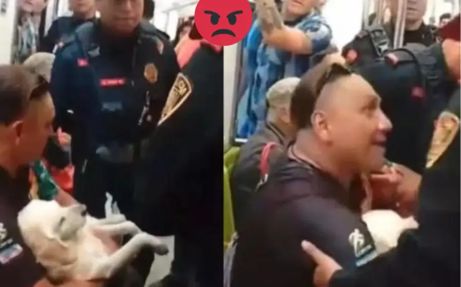 bajan_metro_dueño_perrito_lesionado