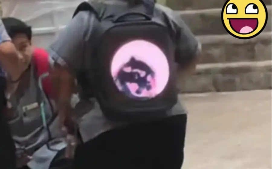 mochila_pantalla_mapache_pedro