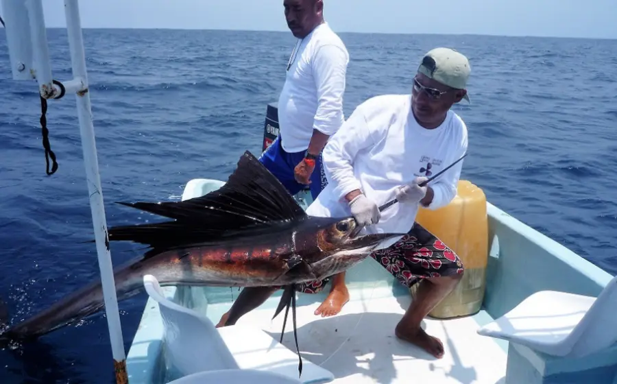 pesca-oaxaca