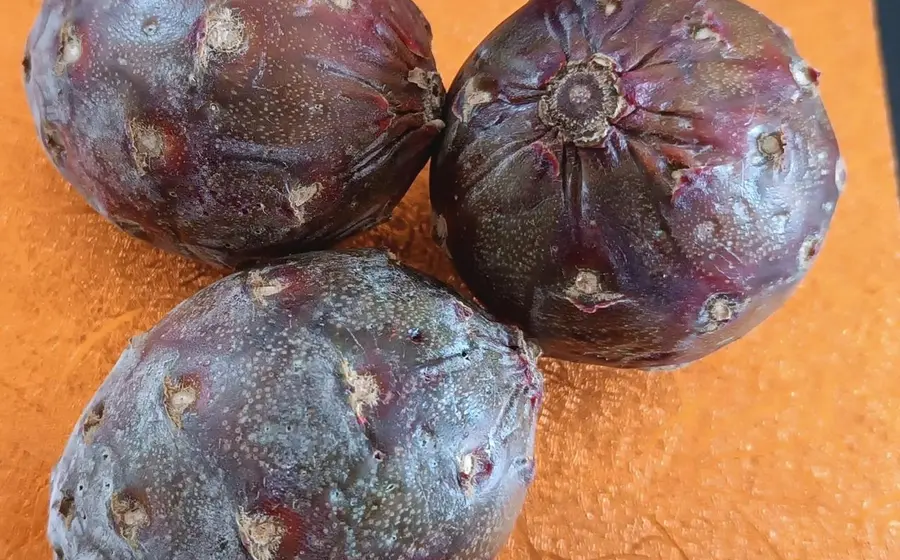 portada-fruta