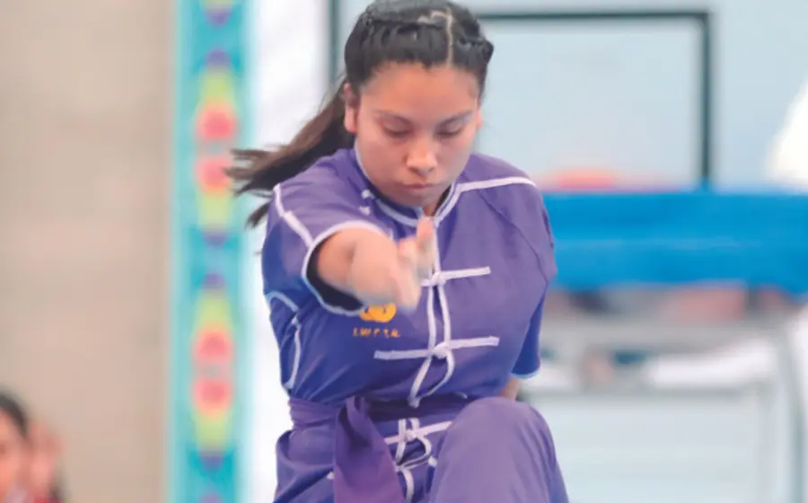 portada-wushu