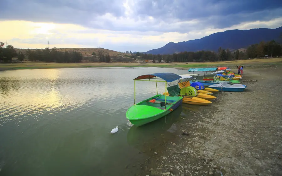presa-jalapa