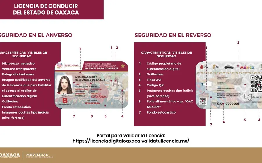 alertan_gestoria_licencias_falsas_oaxaca