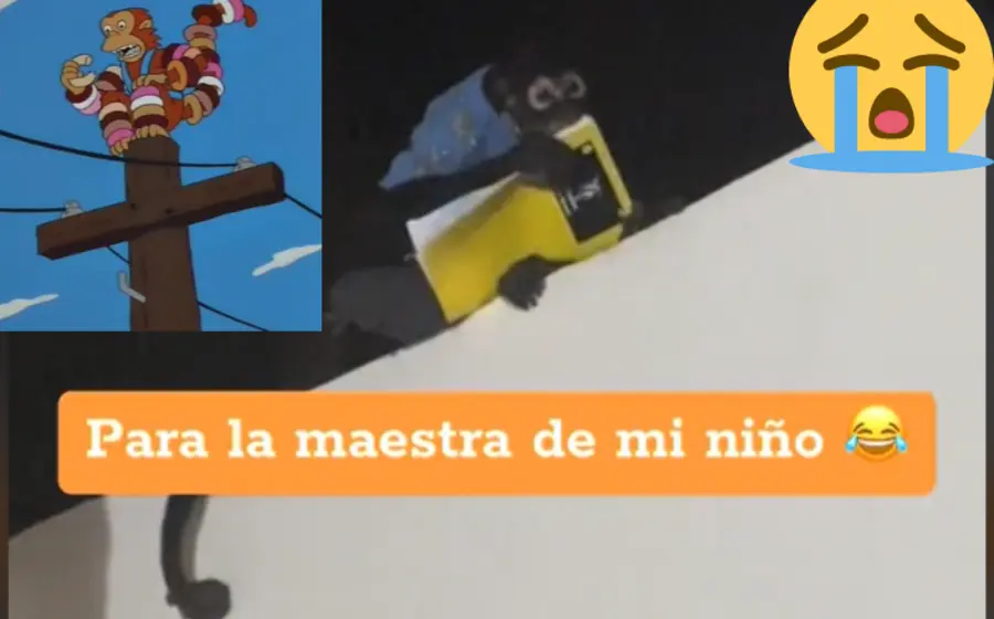 mono_roba_tarea_niño_