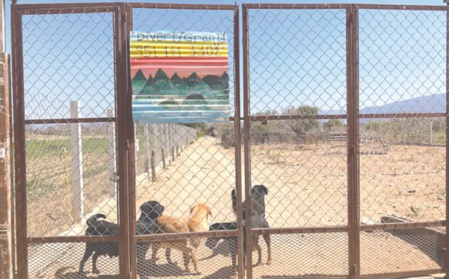 voz-portada