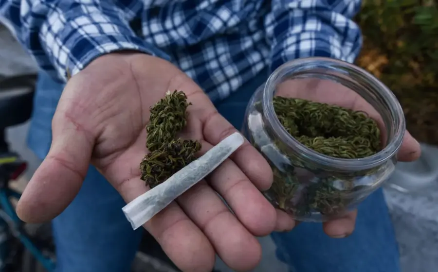 weed-oaxaca