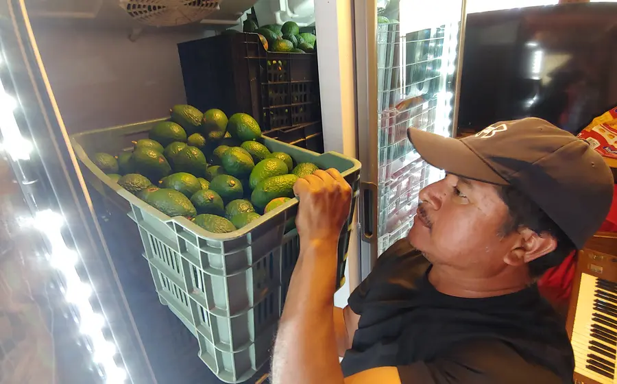 aguacate