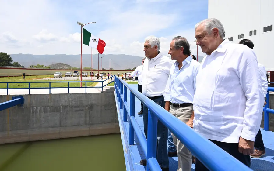amlo-planta