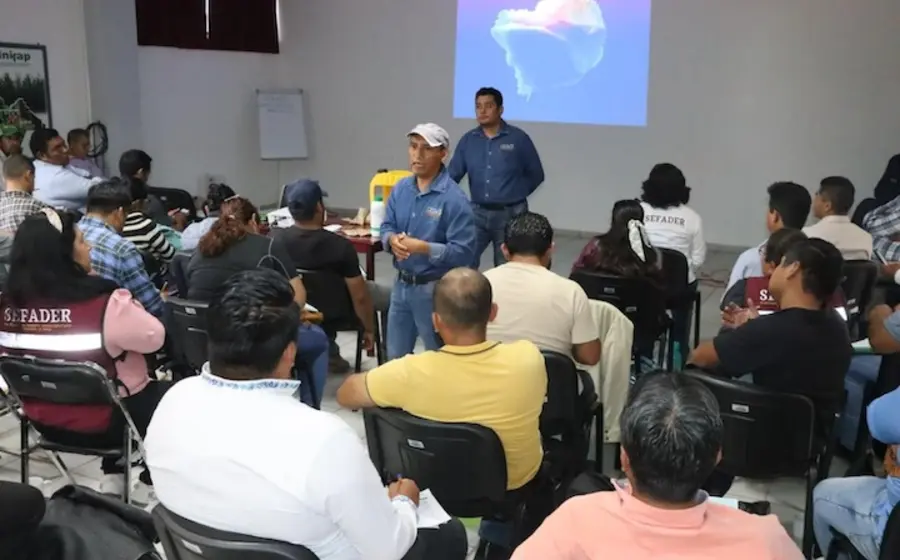 capacitan_personal_control_plagas_maiz 