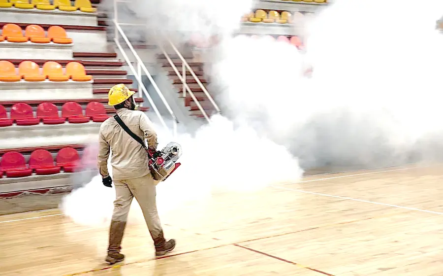 dengue