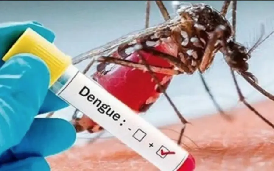 dengue