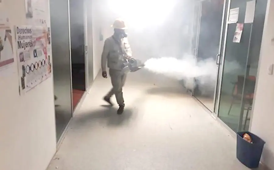 dengue