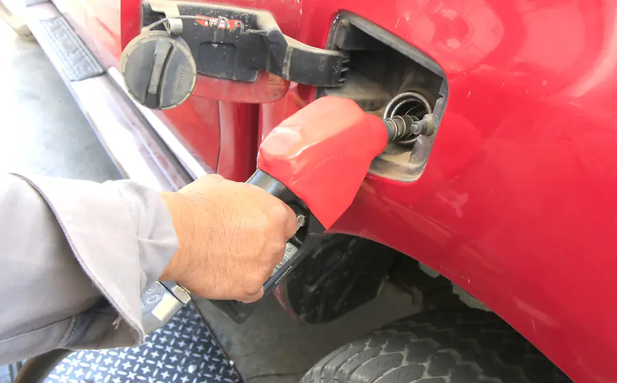 gasolina