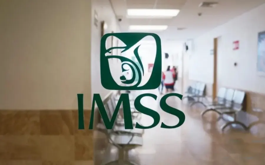 imss-portada