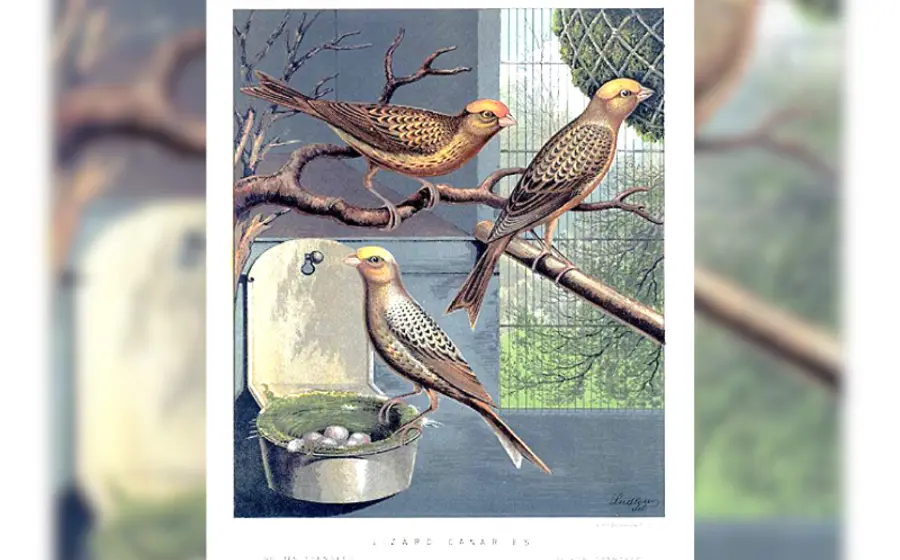 lecturas-vida-portada