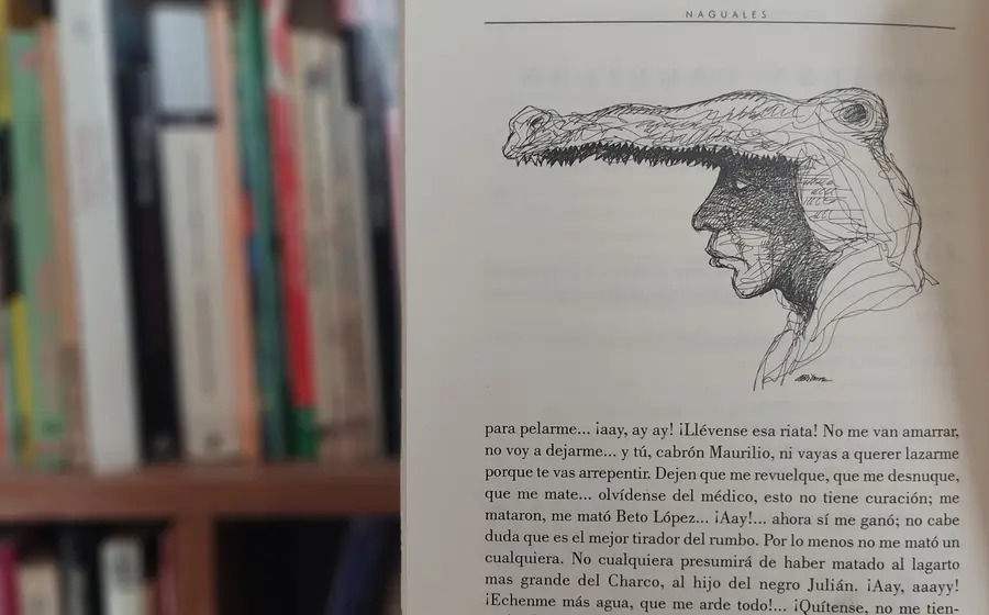 libro
