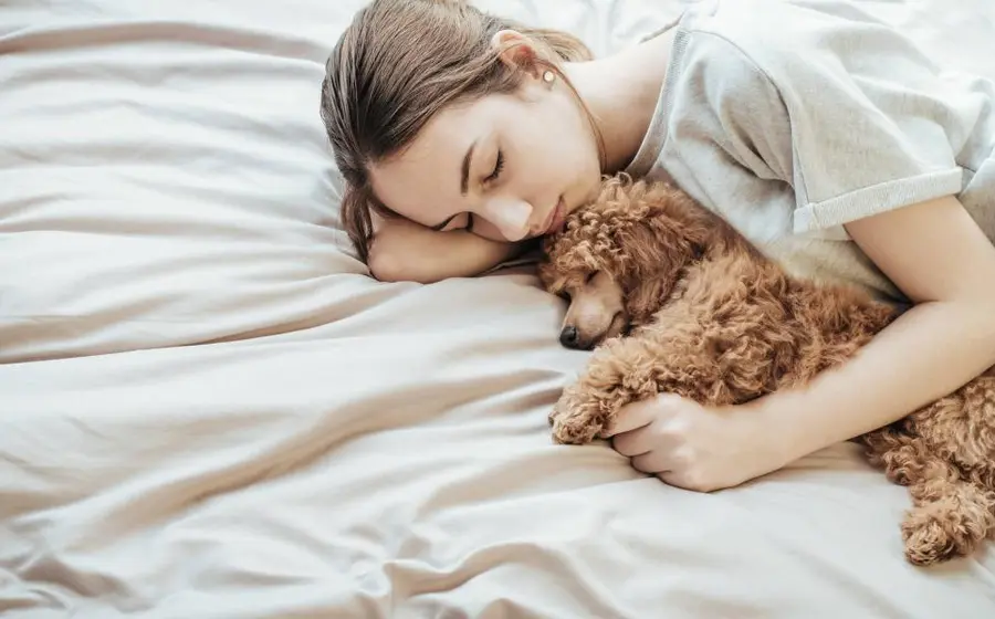 mujer-dormida-perro