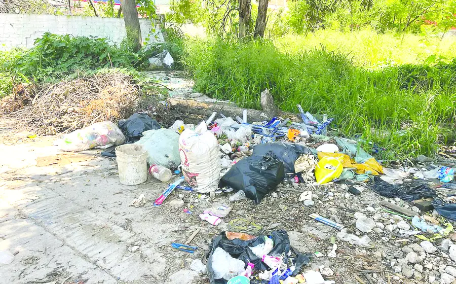 denuncian_muladar_santa_rosa_oaxaca