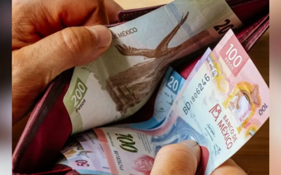 pension-dinero-cartera