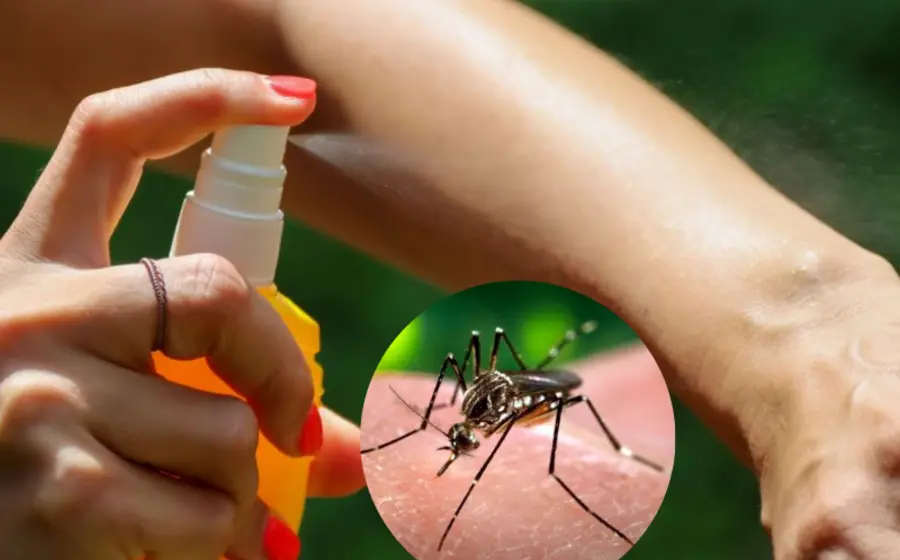 repelentes_pulseras_antimosquitos_eficacia