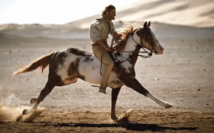 caballo