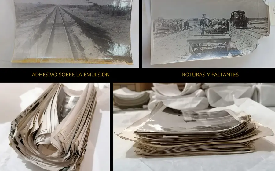 Deterioros detectados en la colección.