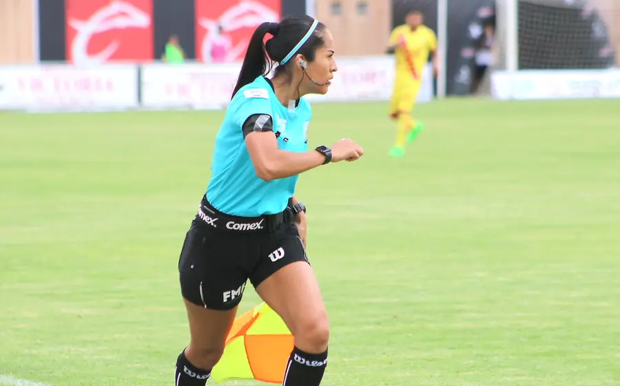Nuevamente tuvo actuación en liguilla