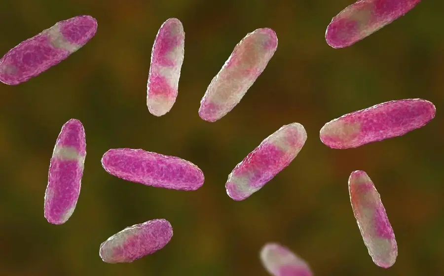 Klebsiella-oxytoca-bacteria