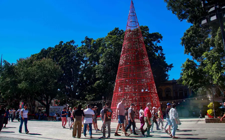 arbol-oaxaca