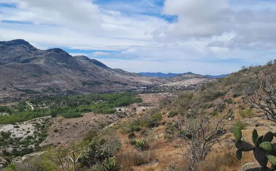 Las bajas temperaturas persistirán en los primeros días del 2025.