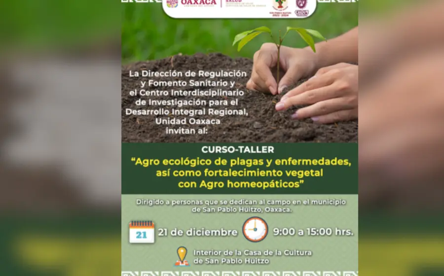 convocatoria_sso_oaxaca
