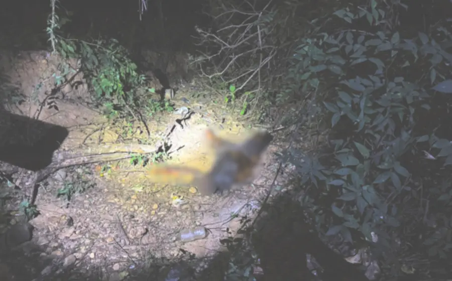 Un hombre fue asesinado en el camino de terracería de la bomba en Santa María Colotepec.