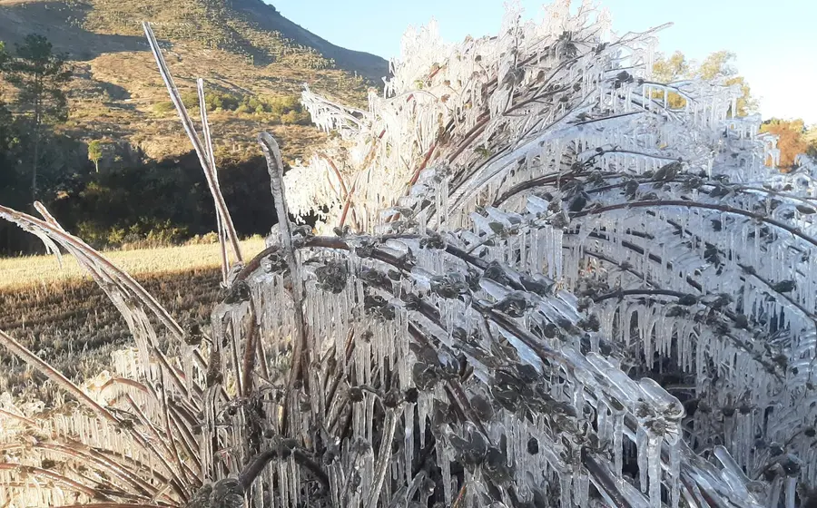 El frío se intensificará y afectará a 90 municipios de la Mixteca.