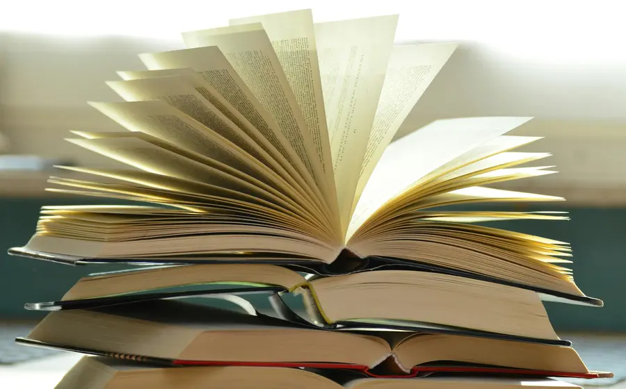 En su novela “Los recuerdos del porvenir”, Elena Garro sienta las bases del realismo mágico